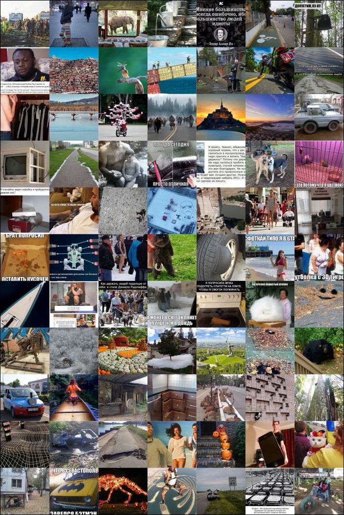 Фото приколы