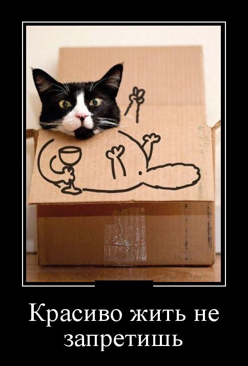 Демотиватор