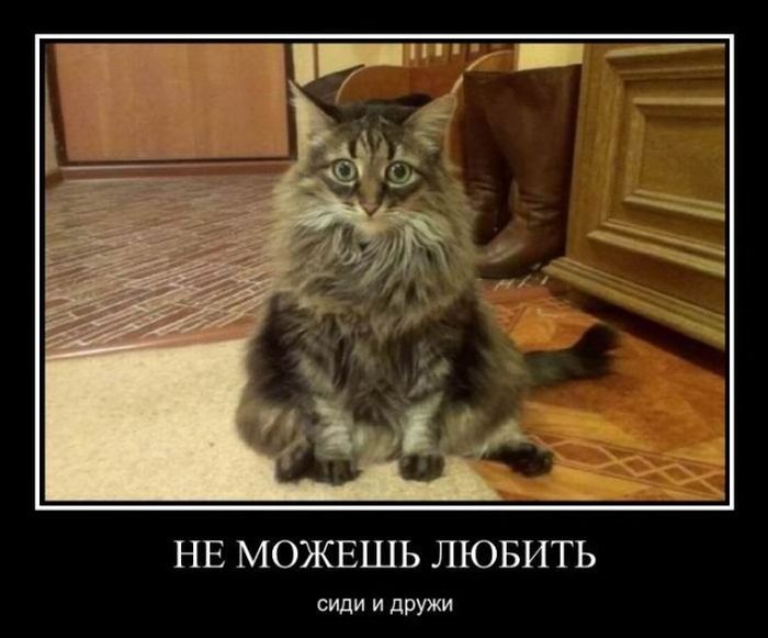 Демотиватор