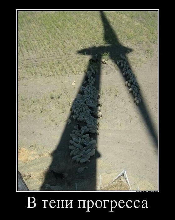 Демотиваторы