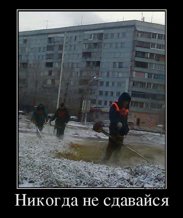 Демотиваторы