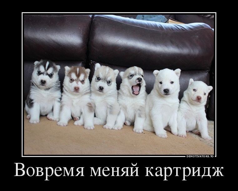 Демотиваторы