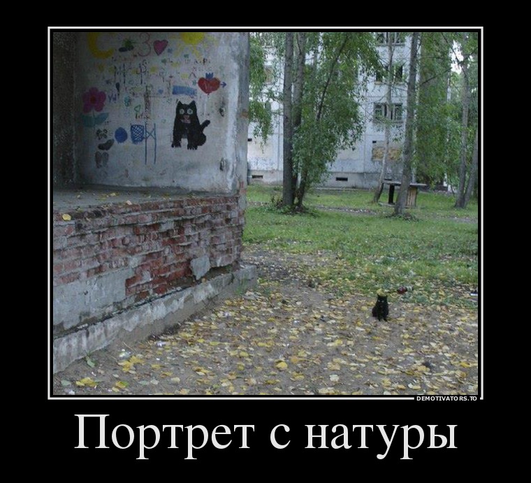 Демотиваторы