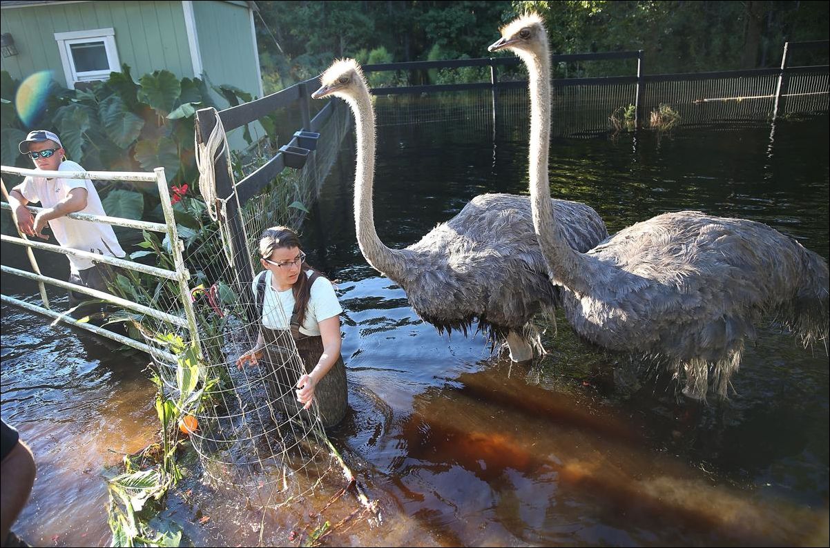 Наводнение в Южной Каролине