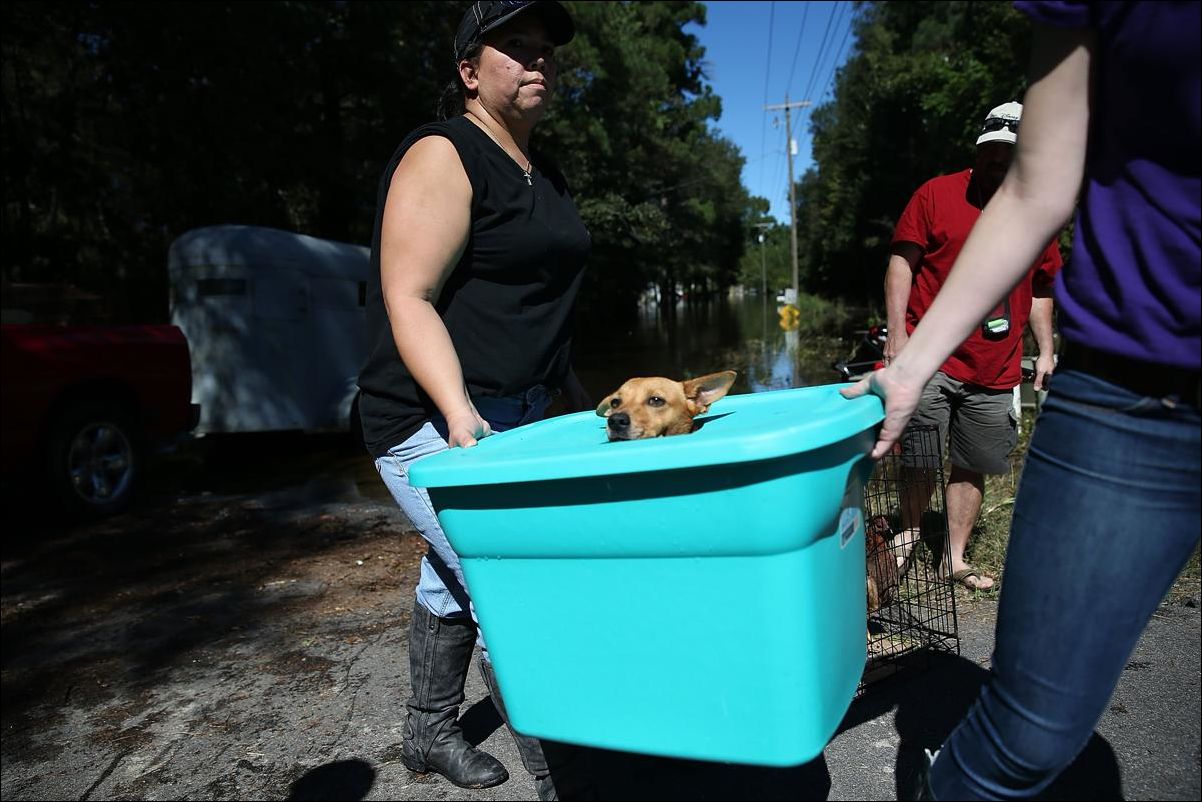 Наводнение в Южной Каролине
