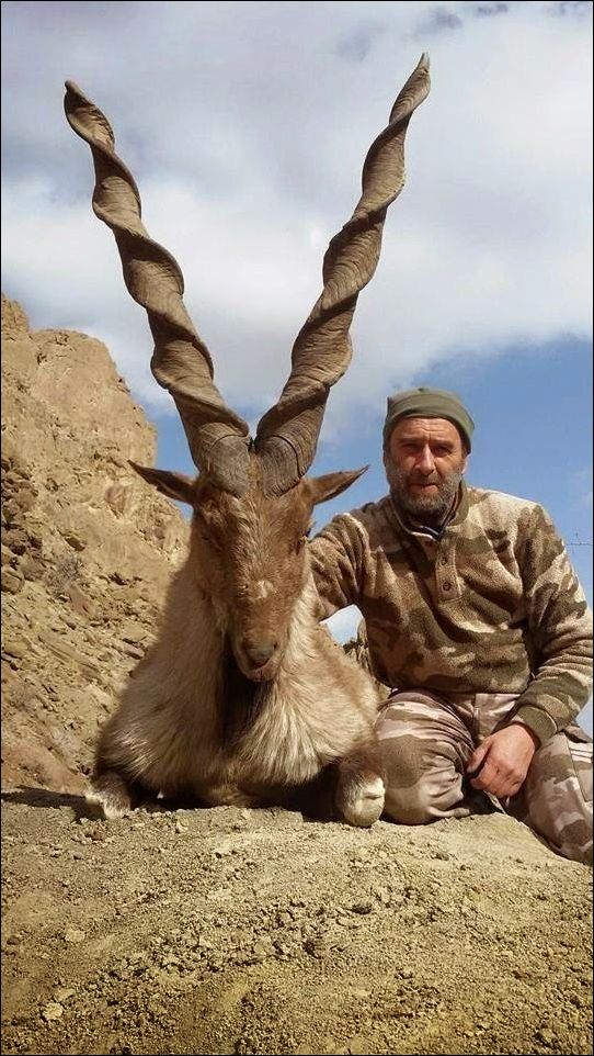 фото приколы