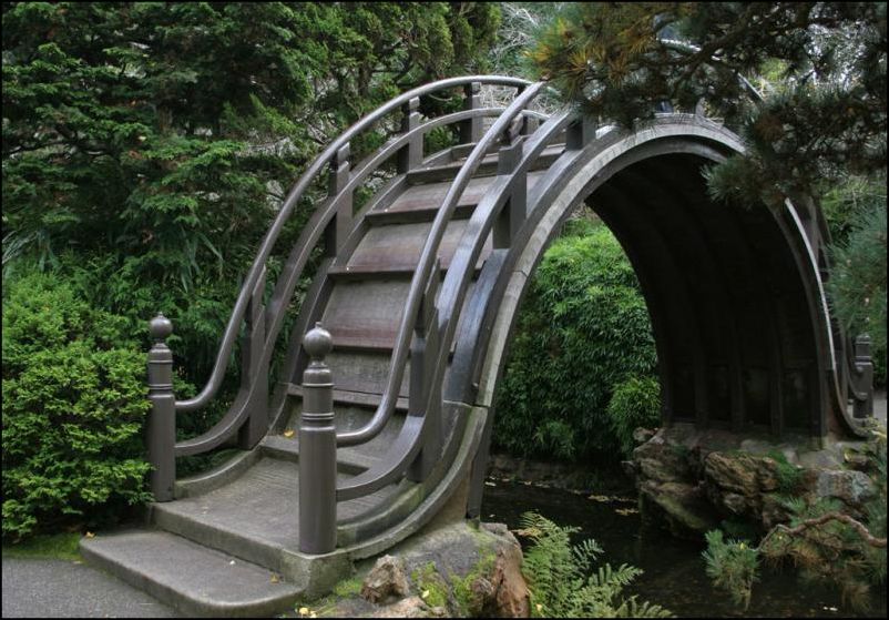 фото приколы