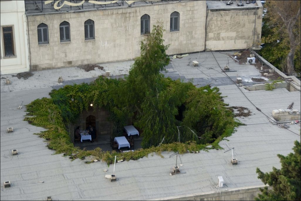 фото приколы