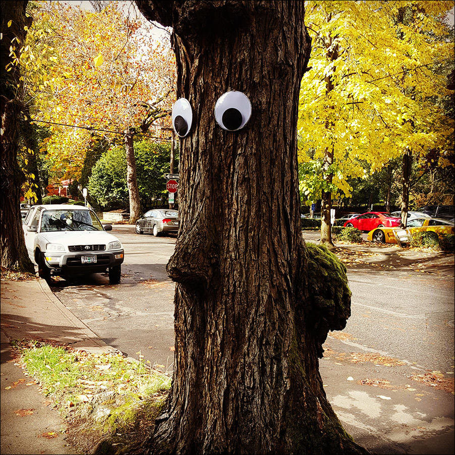 фото приколы