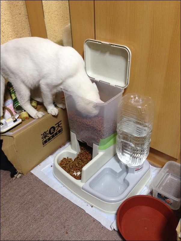 фото приколы