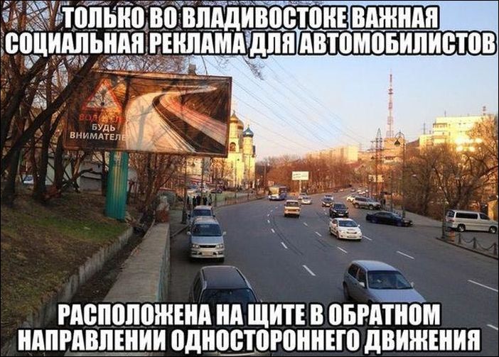 фото приколы