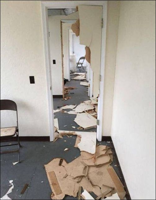 фото приколы