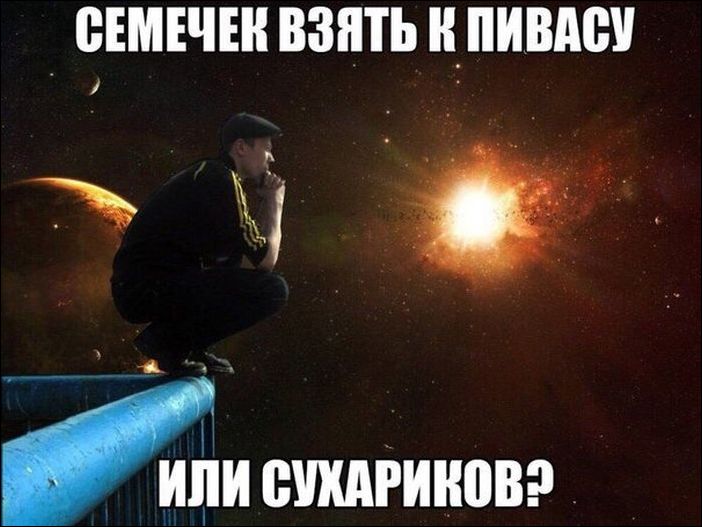 фото приколы