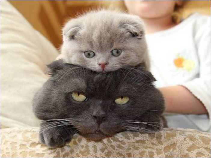 фото приколы