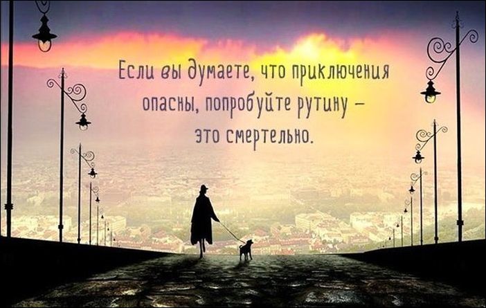 фото приколы