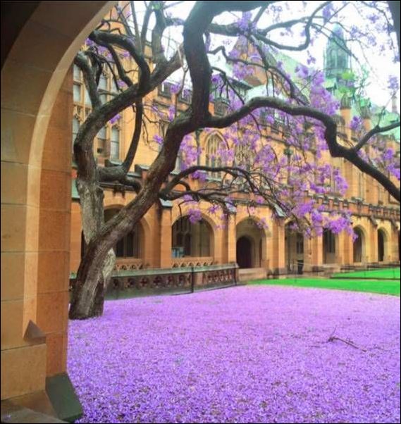 фото приколы