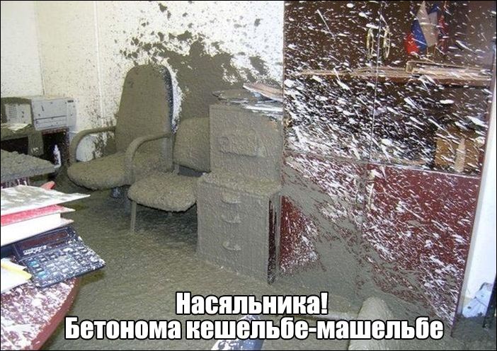 фото приколы