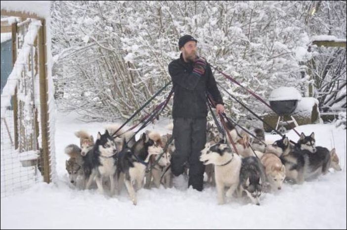 фото приколы