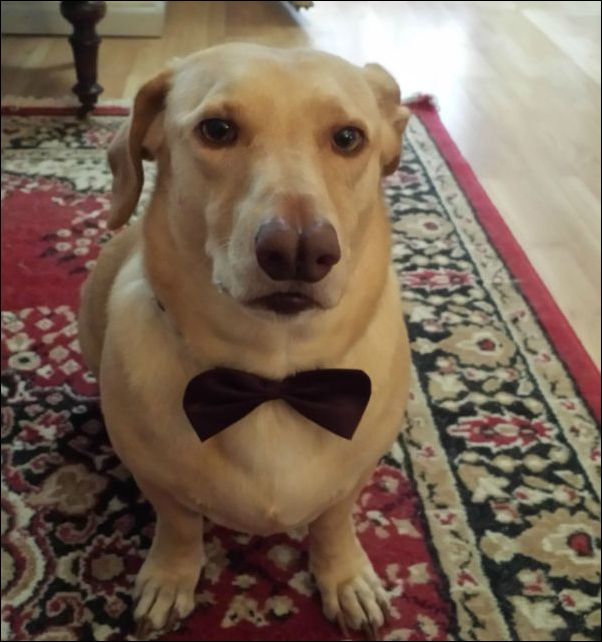 фото приколы