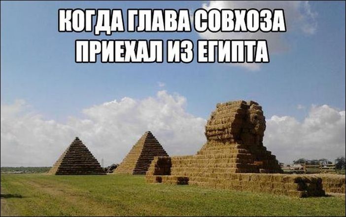 фото приколы