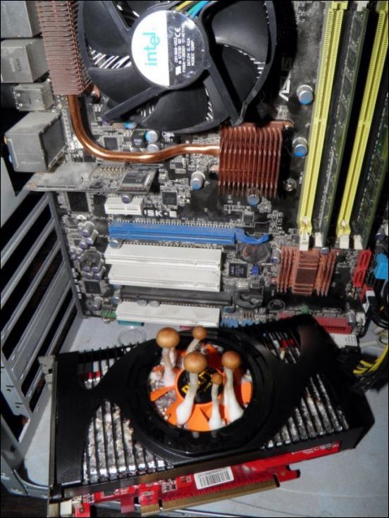 фото приколы