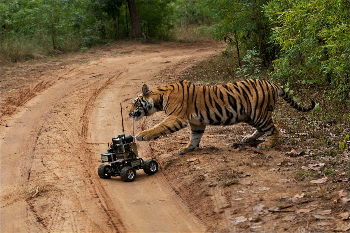 Фото-приколы