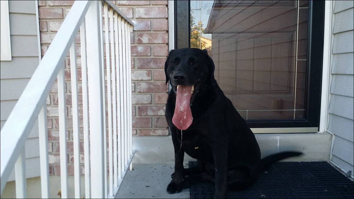 Фото-приколы