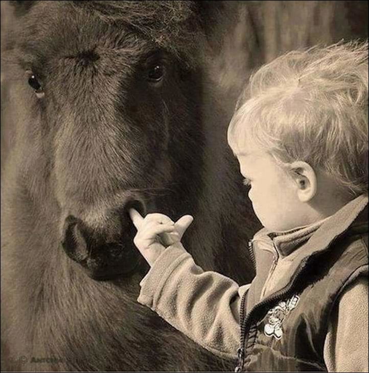 Фото-приколы