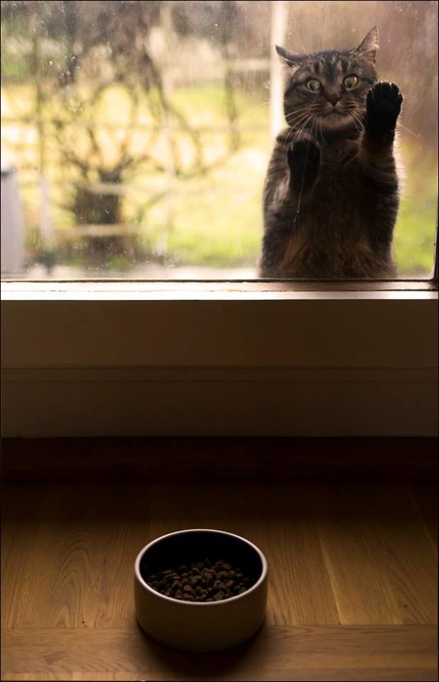 Фото-приколы