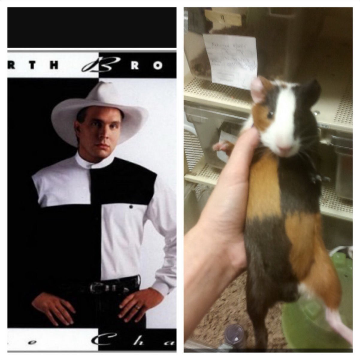 Фото-приколы