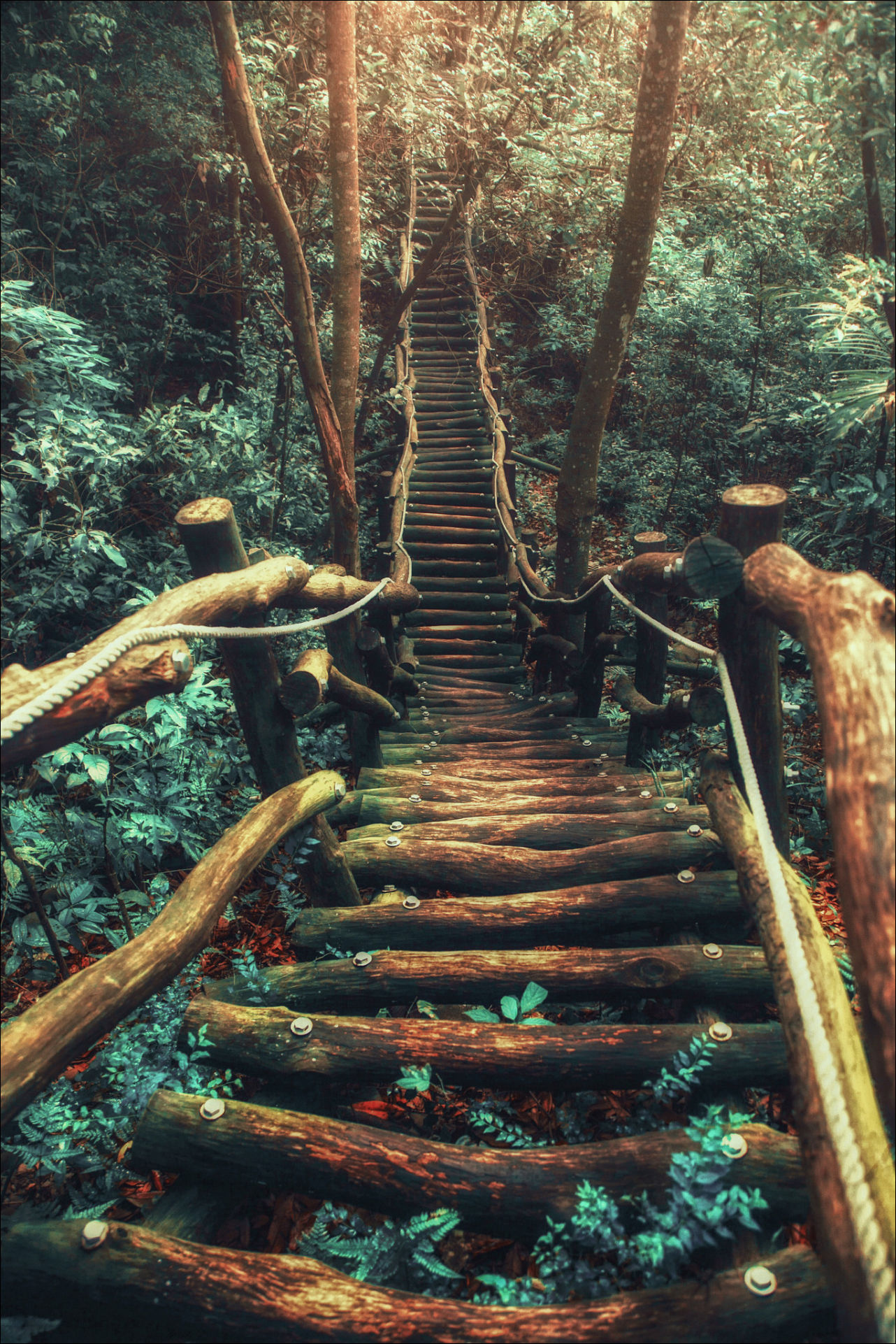 Фото-приколы