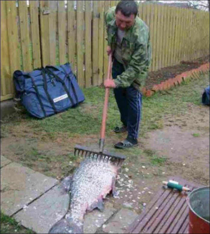 Фото-приколы