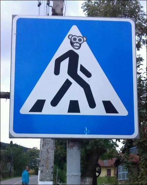 Фото-приколы