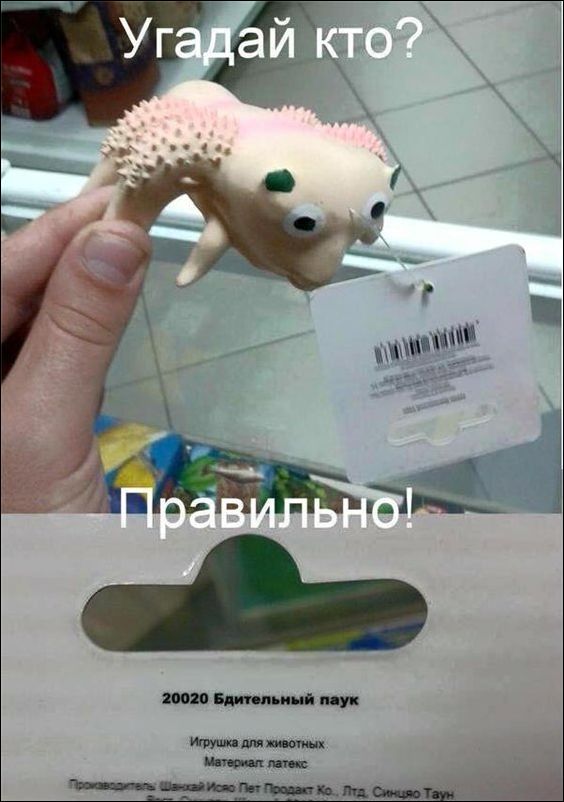 Фото-приколы