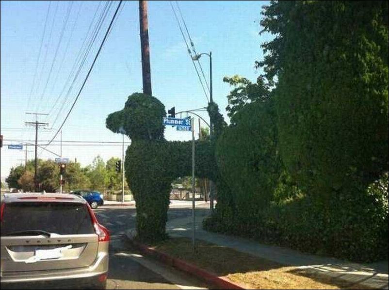 Фото-приколы