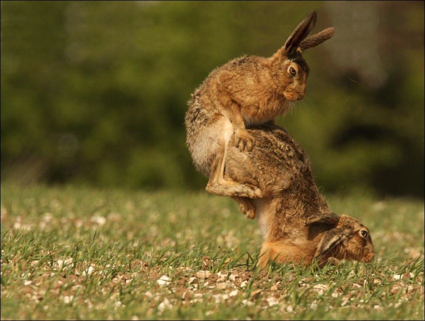 Фото-приколы