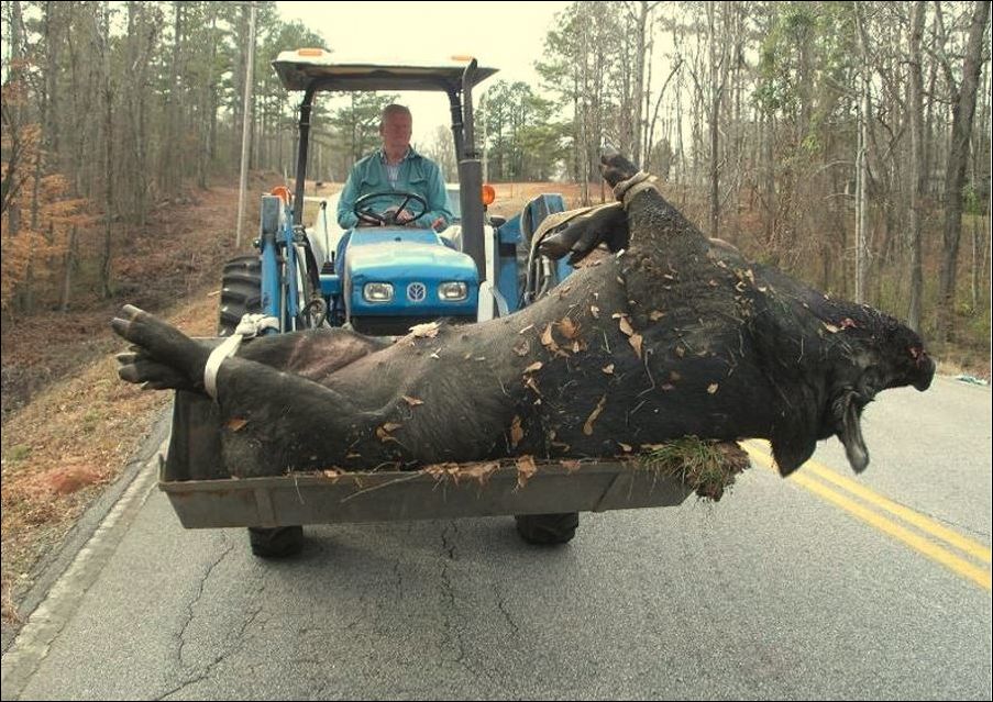 Фото-приколы