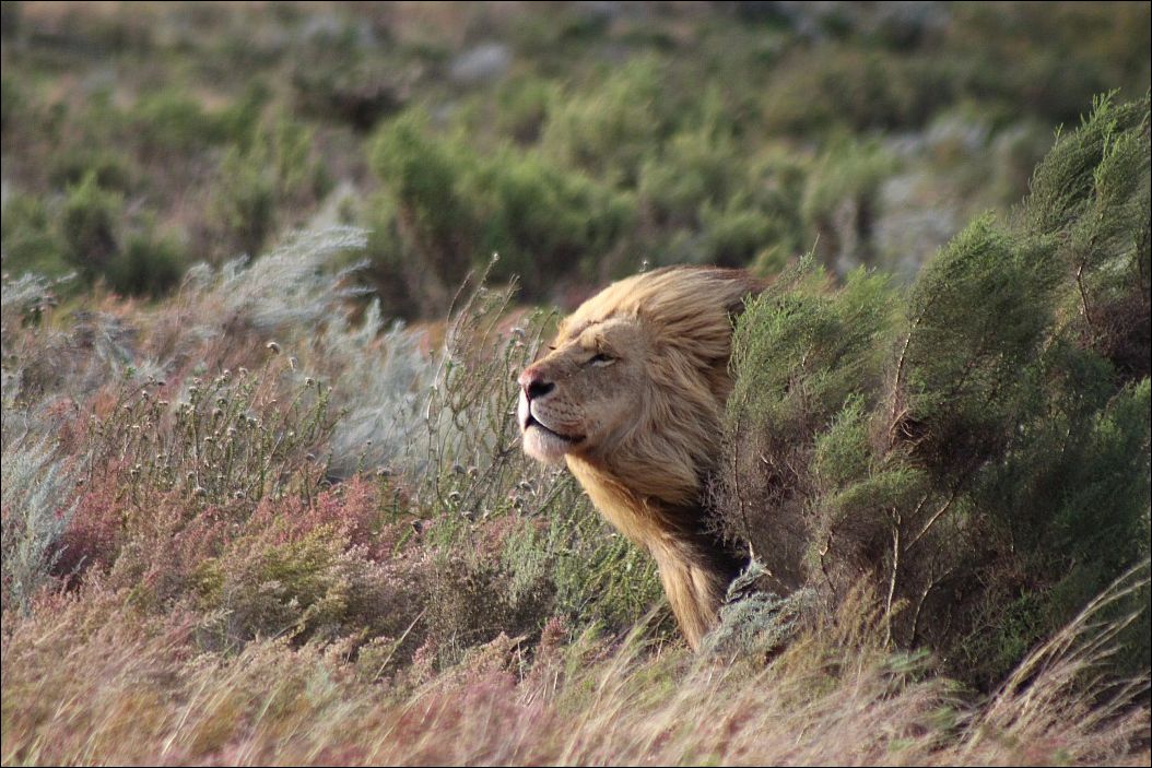 Фото-приколы