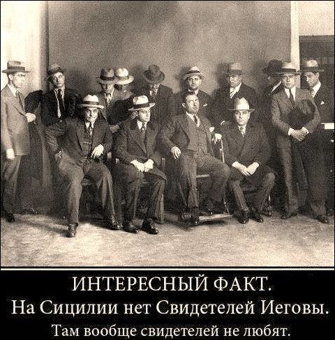 Фото-приколы