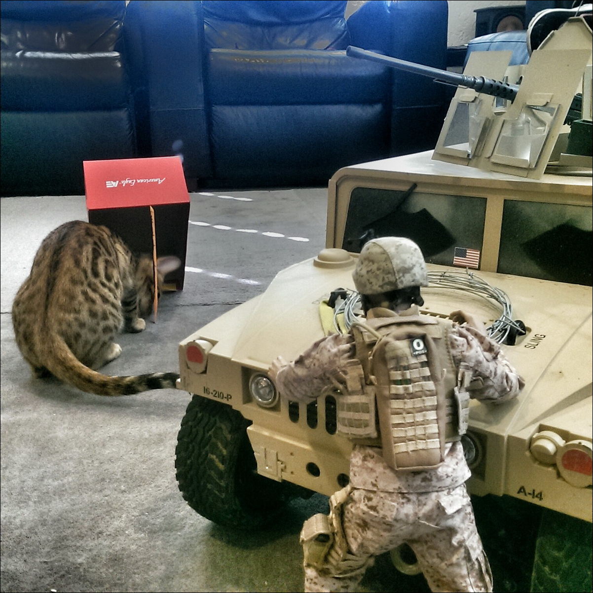 Фото-приколы