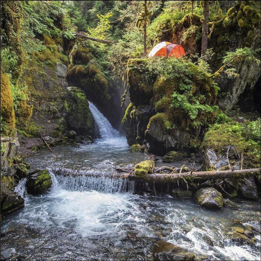 Фото-приколы