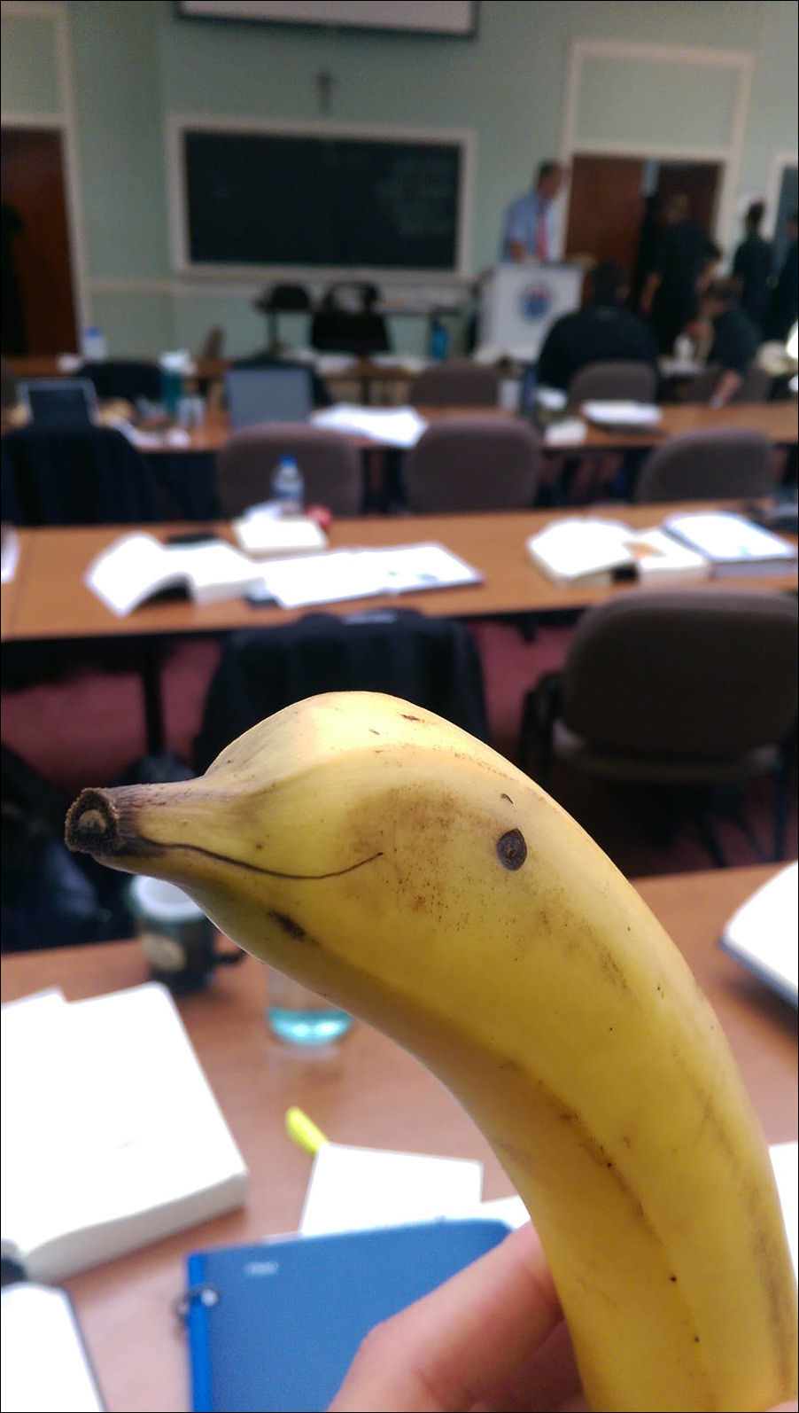 Фото-приколы