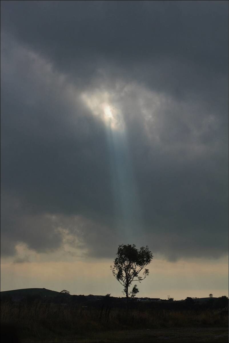 Фото-приколы