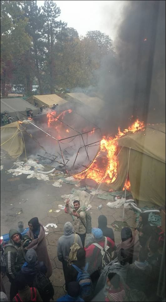 Фото-приколы