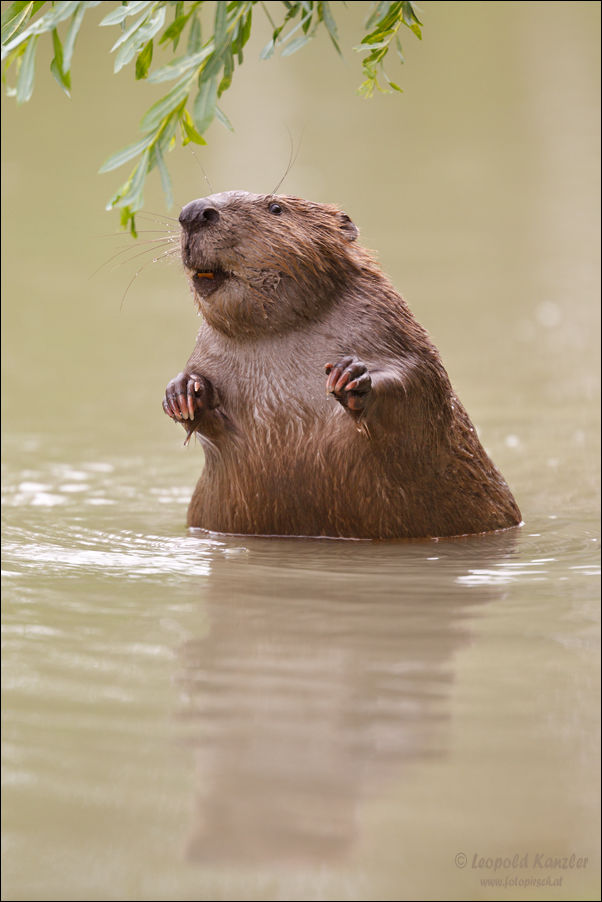 Фото-приколы