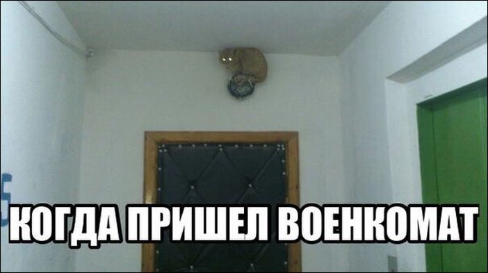 Фото-приколы