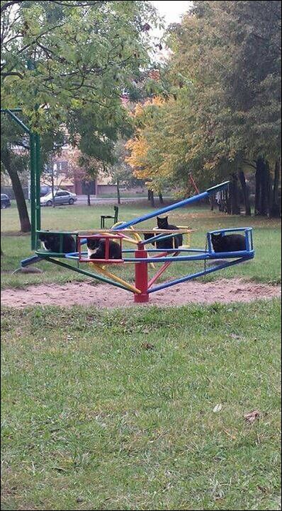 Фото-приколы