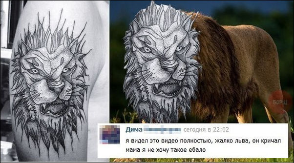 Смешные комментарии из социальных сетей