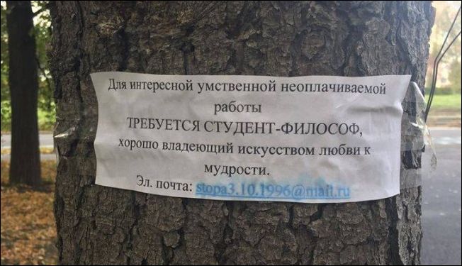 Смешные надписи и объявления