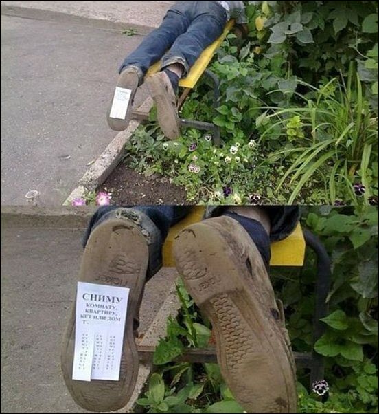 Смешные надписи и объявления